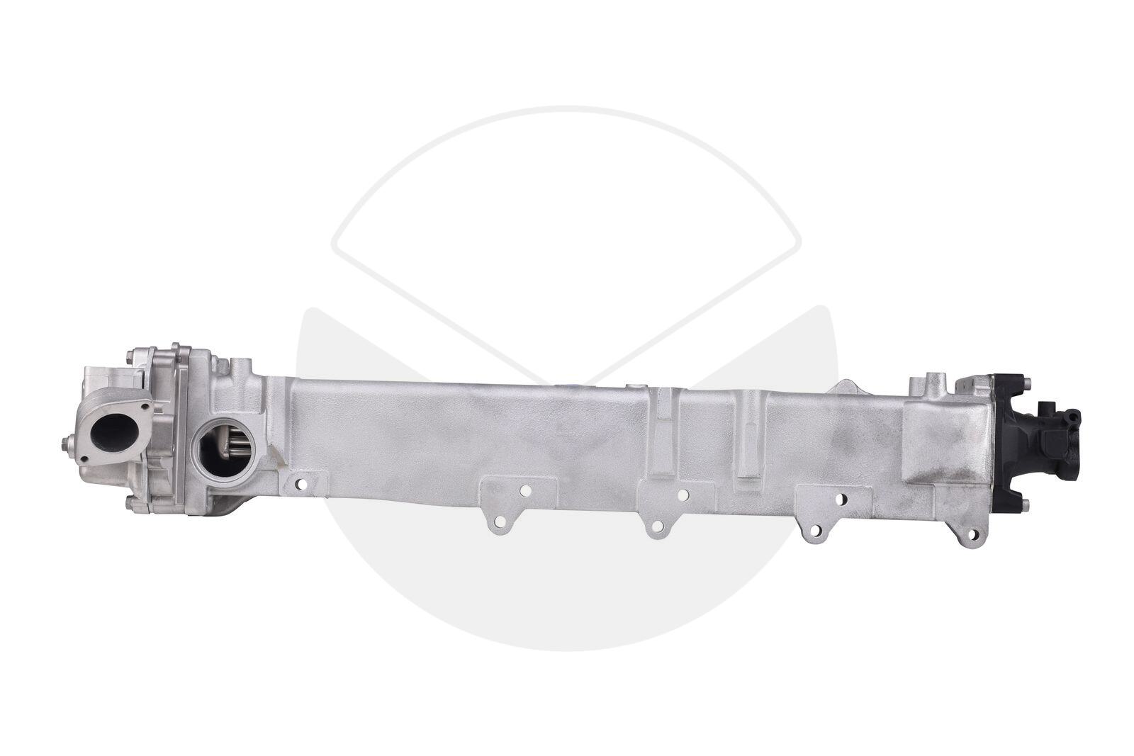 EGR Module (Exchange Part)