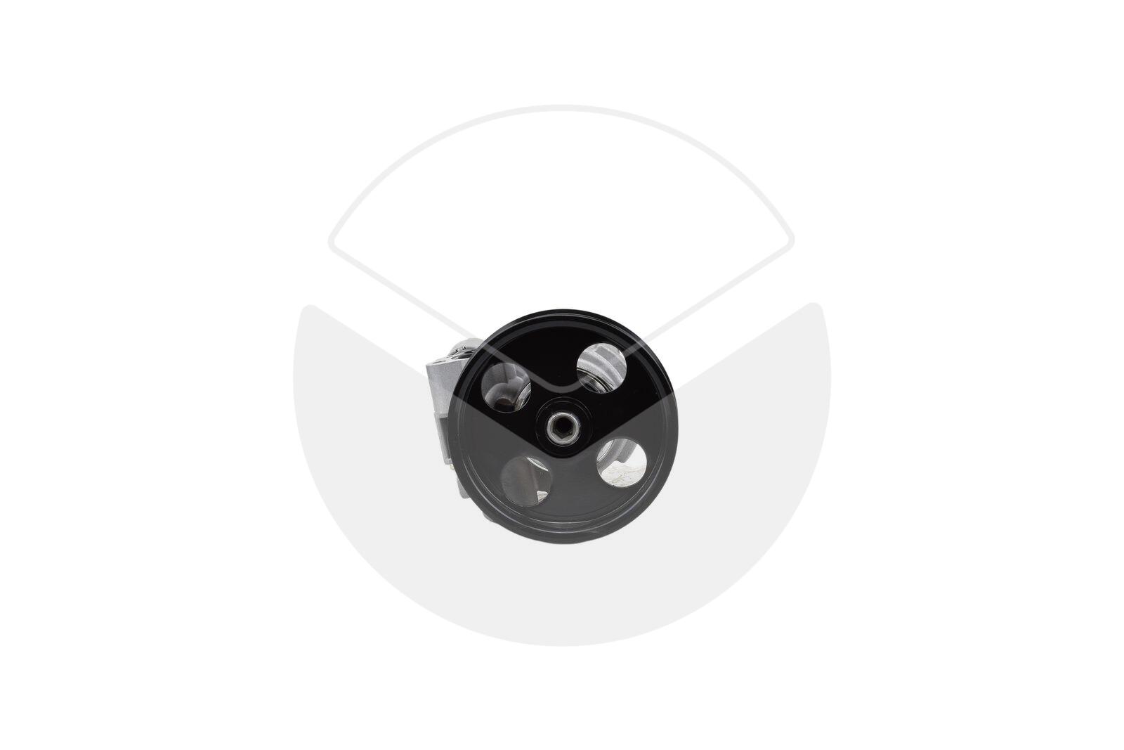 Hydraulic Pump, steering (Exchange Part)
