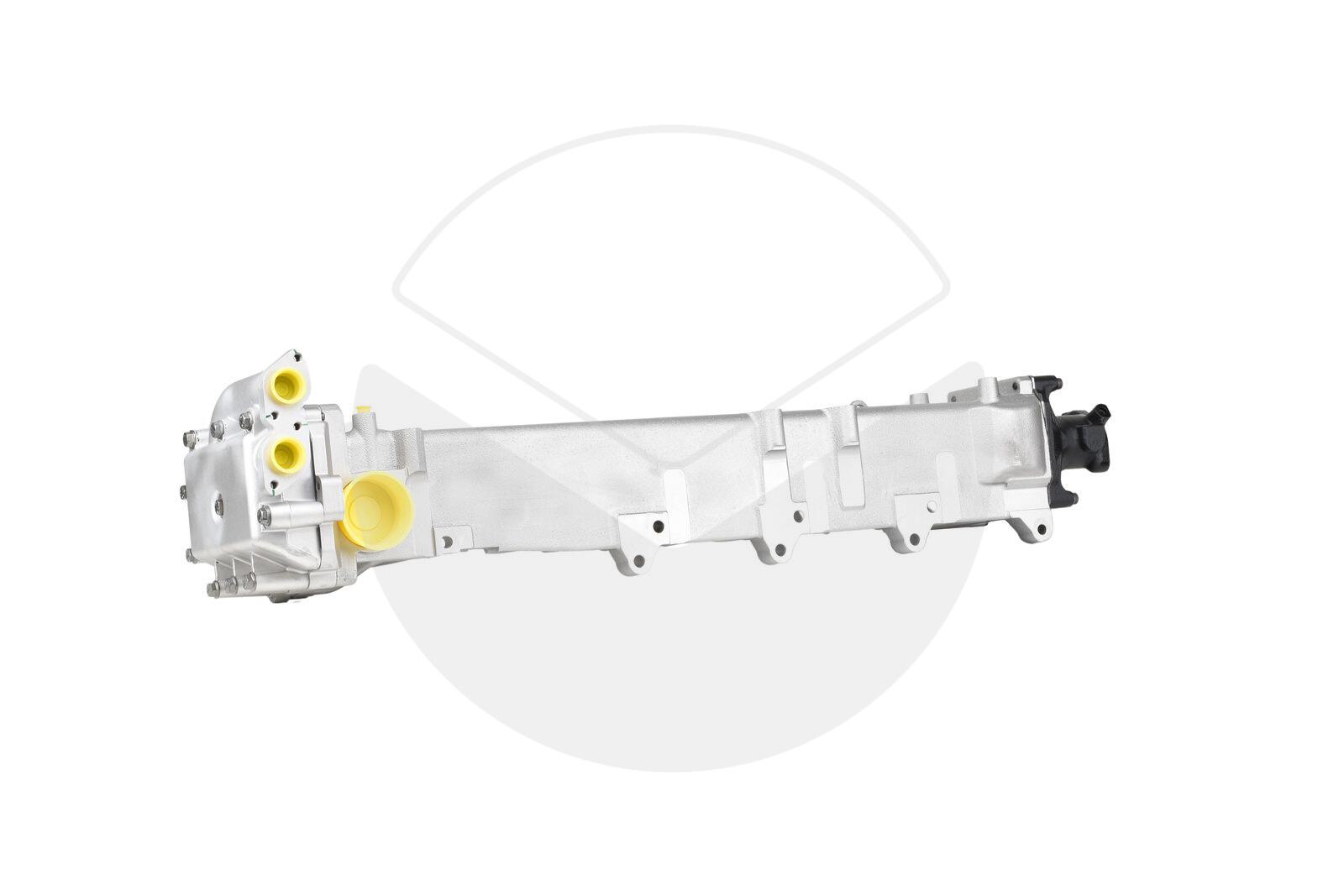 EGR Module (Exchange Part)